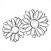 Chamomile with Apigenin.webp